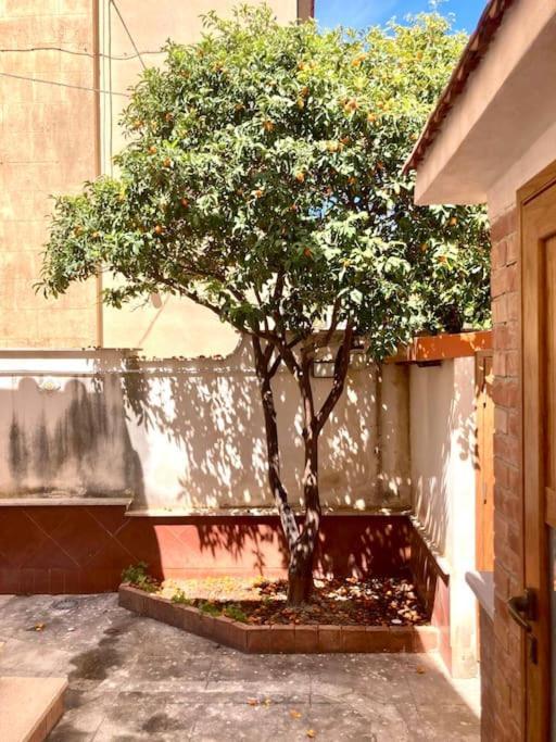 Villa Orlando Mondello Palermo Kültér fotó